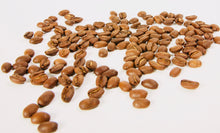 Load image into Gallery viewer, Light Roast - 100% Washed Arabica